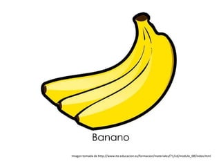 Banano
Imagen tomada de http://www.ite.educacion.es/formacion/materiales/71/cd/modulo_08/index.html
 