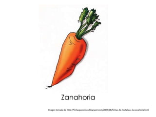 Zanahoria
Imagen tomada de http://fichasparaninos.blogspot.com/2009/08/fichas-de-hortalizas-la-zanahoria.html
 