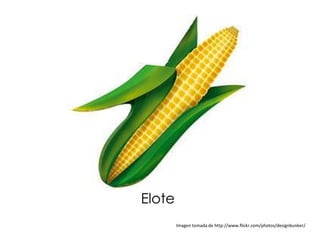 Elote
        Imagen tomada de http://www.flickr.com/photos/designbunker/
 