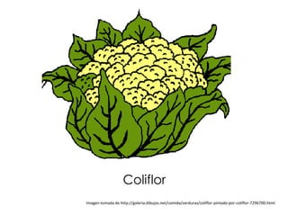 Coliflor
Imagen tomada de http://galeria.dibujos.net/comida/verduras/coliflor-pintado-por-coliflor-7296700.html
 