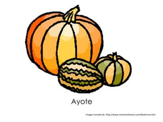Ayote
   Imagen tomada de http://www.cinnamonhearts.com/Butternut.htm
 