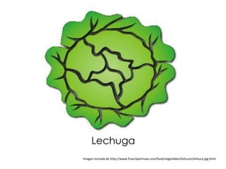 Lechuga
Imagen tomada de http://www.freeclipartnow.com/food/vegetables/lettuces/lettuce.jpg.html
 