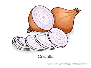 Cebolla
    Imagen tomada de http://miraclik.blogspot.com/2012/01/cebolla.html
 