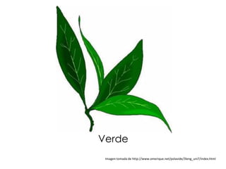 Verde
 Imagen tomada de http://www.omerique.net/polavide/3leng_uni7/index.html
 