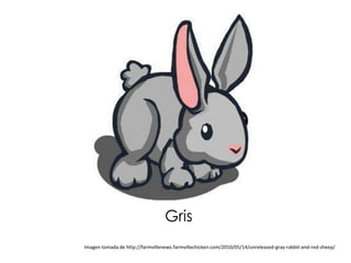 Gris
Imagen tomada de http://farmvillenews.farmvillechicken.com/2010/05/14/unreleased-gray-rabbit-and-red-sheep/
 