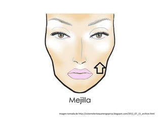 Mejilla
Imagen tomada de http://vistemelentoquetengoprisa.blogspot.com/2012_07_15_archive.html
 