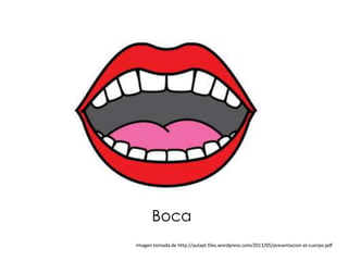Boca
Imagen tomada de http://aulapt.files.wordpress.com/2011/05/presentacion-el-cuerpo.pdf
 