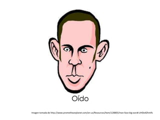 Oído
Imagen tomada de http://www.prometheanplanet.com/en-us/Resources/Item/128805/man-face-big-ears#.UHDe4ZhmIfs
 