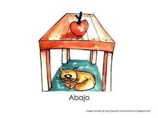 Abajo
    Imagen tomada de http://grupo3-mariamontessori.blogspot.com/
 