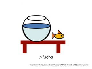 Afuera
Imagen tomada de http://fotos.tadega.net/index.php/IMPACTE---Proxecto-CARE/Descriptores/afuera
 