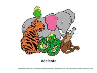 Adelante
Imagen tomada de http://losanimalesinvertebradosbiologia.blogspot.com/2011/06/componentes-bioticos-seres-vivos.html
 