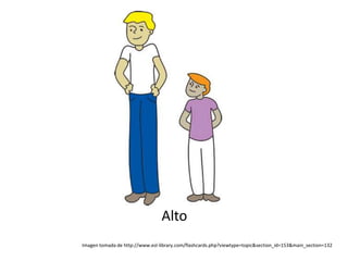Alto
Imagen tomada de http://www.esl-library.com/flashcards.php?viewtype=topic&section_id=153&main_section=132
 