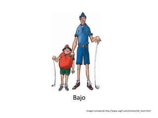 Bajo
       Imagen tomada de http://www.usgtf.com/articles/tall_short.html
 