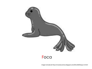 Foca
Imagen tomada de http://crisveducaninos.blogspot.com/2011/04/bloque-iii.html
 