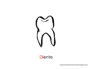 Diente
         Imagen tomada de http://miraclik.blogspot.com/
 