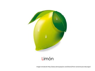 Limón
Imagen tomada de http://www.ateneupopular.com/diseno/limon-vectorial-para-descargar/
 
