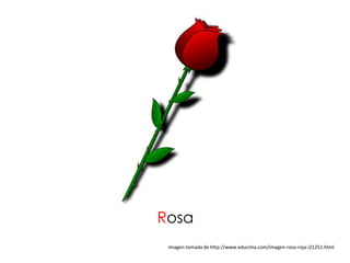 Rosa
 Imagen tomada de http://www.educima.com/imagen-rosa-roja-i21251.html
 