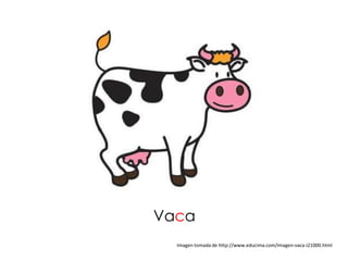 Vaca
  Imagen tomada de http://www.educima.com/imagen-vaca-i21000.html
 
