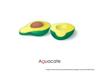 Aguacate
  Imagen tomada de http://cuantoaprendemos.blogspot.com/search/label/Fotos
 