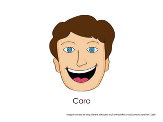 Cara
Imagen tomada de http://www.wikisaber.es/CentroDeRecursos/content.aspx?id=15196
 