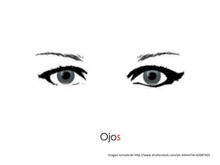 Ojos
 Imagen tomada de http://www.shutterstock.com/pic.mhtml?id=62087425
 