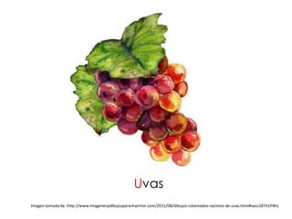Uvas
Imagen tomada de http://www.imagenesydibujosparaimprimir.com/2011/08/dibujos-coloreados-racimos-de-uvas.html#axzz28T41P4hc
 