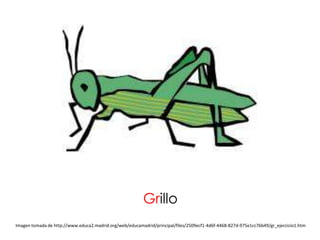 Grillo
Imagen tomada de http://www.educa2.madrid.org/web/educamadrid/principal/files/2509ecf1-4d6f-4468-827d-975e1cc76b49/gr_ejercicio1.htm
 