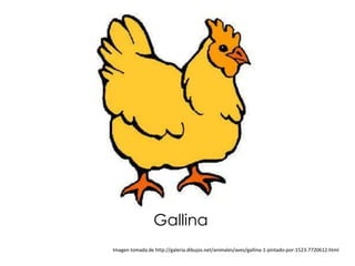 Gallina
Imagen tomada de http://galeria.dibujos.net/animales/aves/gallina-1-pintado-por-1523-7720612.html
 