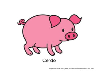 Cerdo
  Imagen tomada de http://www.educima.com/imagen-cerdo-i21004.html
 
