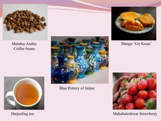 Darjeeling tea
Malabar Arabic
Coffee beans
Mango ‘Gir Kesar’
Mahabaleshwar Strawberry
Blue Pottery of Jaipur
 
