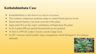Kothalahimbutu Case
● Kothalahimbutu is also known as salacia reticulata.
● This endemic indigenous medicine helps to control blood glucose levels.
● Patent based biopiracy has been occured to this plant.
● Japan and USA are the major contributors of biopirating this plant.
● In Sri Lankan IPR act natural biomaterials are not granted.
● At first in 1998 Sri Lanka Customs seized a large stock.
● In 2017 customs seized another large consignment which belonged to Two chinese
nationals.
 