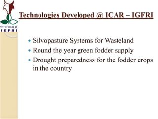  Silvopasture Systems for Wasteland
 Round the year green fodder supply
 Drought preparedness for the fodder crops
in the country
Technologies Developed @ ICAR – IGFRI
 