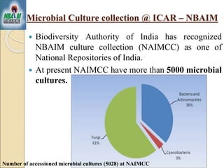  Biodiversity Authority of India has recognized
NBAIM culture collection (NAIMCC) as one of
National Repositories of India.
 At present NAIMCC have more than 5000 microbial
cultures.
Microbial Culture collection @ ICAR – NBAIM
Number of accessioned microbial cultures (5028) at NAIMCC
 