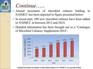  Annual increment of microbial cultures holding in
NAIMCC has been depicted in figure presented below.
 In recent past, 580 new microbial cultures have been added
to NAIMCC in between 2012 and 2014.
 Detailed information has been brought out as a ‘Catalogue
of Microbial Cultures: Supplement-2014’.
Continue…..
Annual increment in number of microbial cultures in NAIMCC over period of time
 
