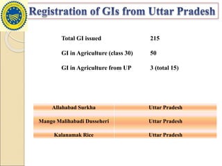 Total GI issued 215
GI in Agriculture (class 30) 50
GI in Agriculture from UP 3 (total 15)
Allahabad Surkha Uttar Pradesh
Mango Malihabadi Dusseheri Uttar Pradesh
Kalanamak Rice Uttar Pradesh
 