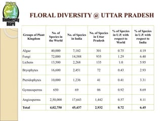 FLORAL DIVERSITY @ UTTAR PRADESH
Groups of Plant
Kingdom
No. of
Species in
the World
No. of Species
in India
No. of Species
in Uttar
Pradesh
% of Species
in U.P. with
respect to
World
% of Species
in U.P. with
respect to
India
Algae 40,000 7,182 301 0.75 4.19
Fungi 72,000 14,588 935 1.29 6.40
Lichens 13,500 2,268 135 1.0 5.95
Bryophytes 16,600 2,451 72 0.43 2.93
Pteridophytes 10,000 1,236 41 0.41 3.31
Gymnosperms 650 69 06 0.92 8.69
Angiosperms 2,50,000 17,643 1,442 0.57 8.11
Total 4,02,750 45,437 2,932 0.72 6.45
 