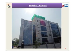 RGNIIPM - NAGPUR
12
 