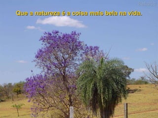 Que a natureza é a coisa mais bela na vida.