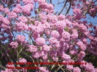 Que amor não se demonstra com palavras e sim com atitudes.