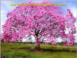 Que trabalhar não é só ganhar dinheiro. lllllllllllll