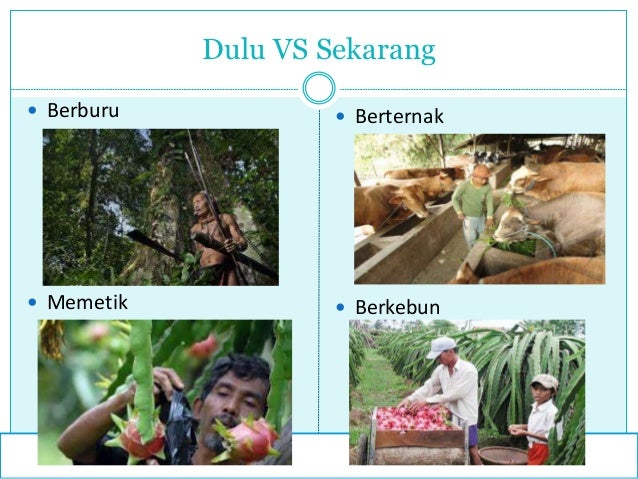 Interaksi Manusia dengan Lingkungan IPS