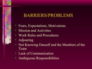 BARRIERS/PROBLEMS Fears, Expectations, Motivations Mission and Activities Work Rules and Procedures Adjouring Not Knowing Oneself and the Members of the Team Lack of Communication Ambiguous Responsibilities 