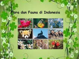 Flora dan Fauna di Indonesia
 