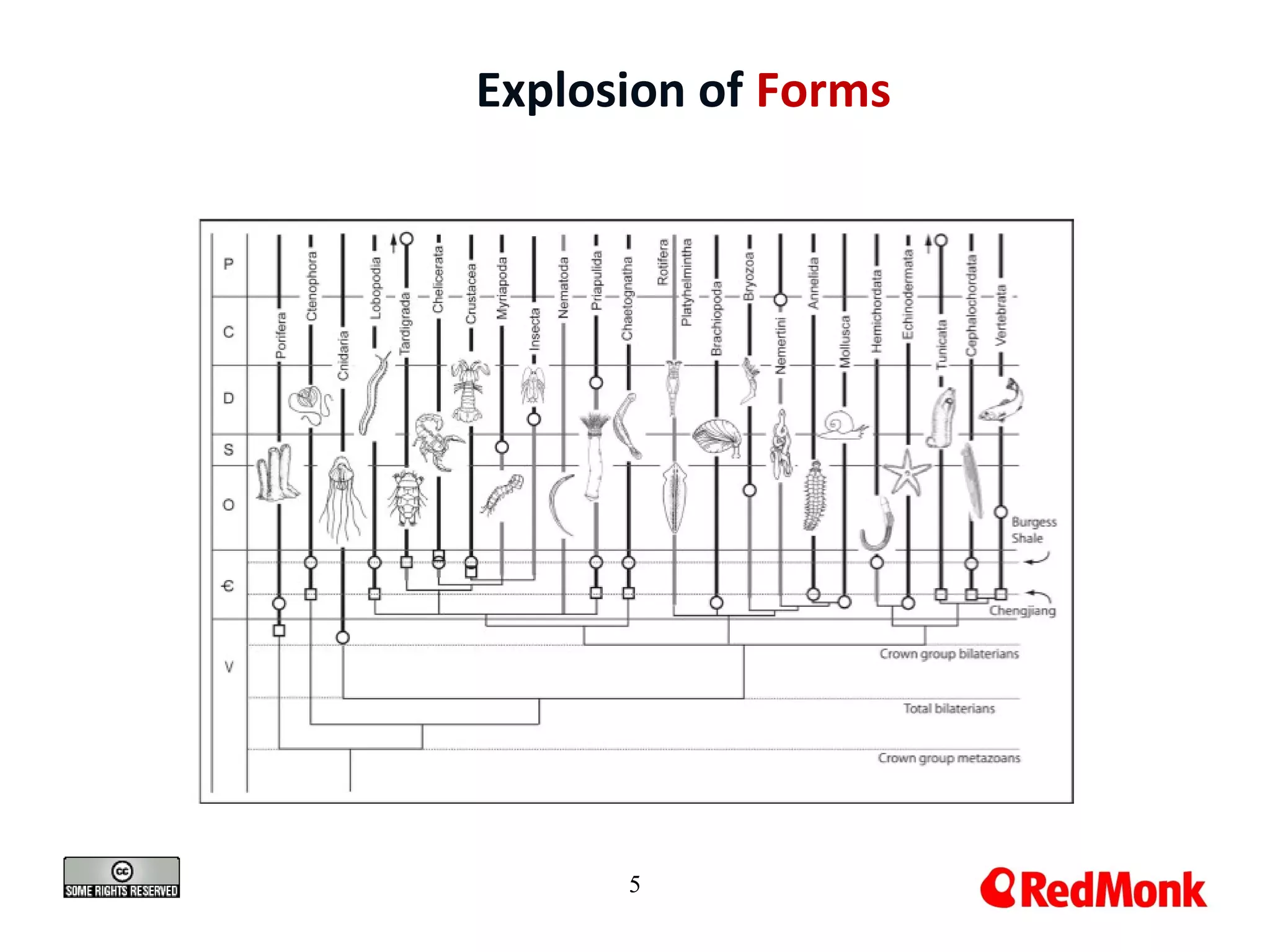 5
Explosion of Forms
 