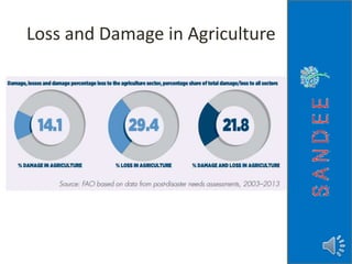 Loss and Damage in Agriculture
 
