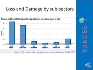 Loss and Damage by sub-sectors
 