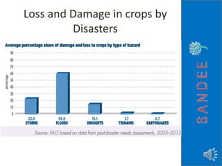 Loss and Damage in crops by
Disasters
 
