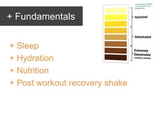 + Fundamentals
+ Sleep
+ Hydration
+ Nutrition
+ Post workout recovery shake
 