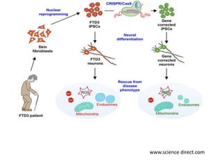 INDUCED PLURIPOTENT STEM CELL AND GENOME ENGINEERING | PPTX