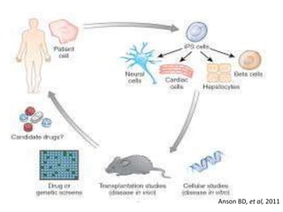 INDUCED PLURIPOTENT STEM CELL AND GENOME ENGINEERING | PPTX